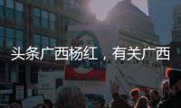 頭條廣西楊紅，有關廣西楊宏傅的詳情