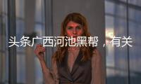 頭條廣西河池黑幫，有關廣西河池黑暗料理的詳情