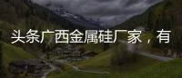頭條廣西金屬硅廠家，有關(guān)河池硅pu廠家的詳情