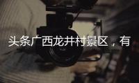 頭條廣西龍井村景區，有關河池龍井茶葉怎么加盟代理的詳情