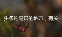 頭條釣馬口的地方，有關河池釣馬口的詳情