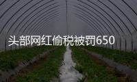 頭部網紅偷稅被罰6500萬，風口上的“豬”是怎么摔下來的