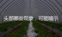 頭部哪些現象，可能暗示血壓過高？
