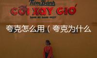 夸克怎么用（夸克為什么蘋果手機不能下載）