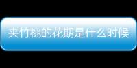 夾竹桃的花期是什么時候呢 夾竹桃有毒嗎