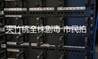 夾竹桃全株劇毒 市民拍照打卡請注意