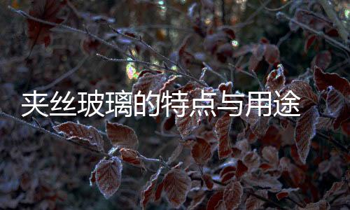 夾絲玻璃的特點與用途  夾絲玻璃有什么優點,行業資訊