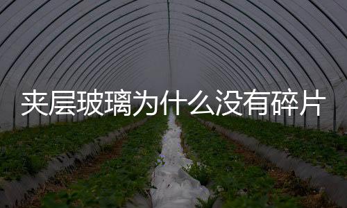 夾層玻璃為什么沒(méi)有碎片  夾層玻璃是怎樣做出來(lái)的,行業(yè)資訊