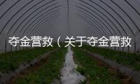 奪金營救（關于奪金營救的基本情況說明介紹）