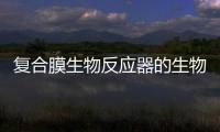 復合膜生物反應器的生物學研究