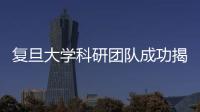 復旦大學科研團隊成功揭示氨基酸感知和信號傳導機制