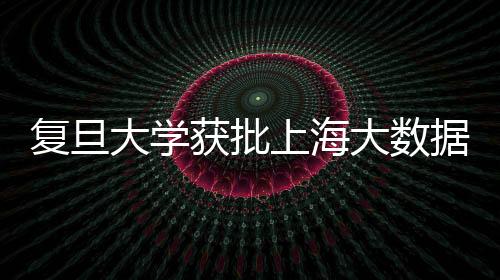 復旦大學獲批上海大數(shù)據(jù)聯(lián)合創(chuàng)新實驗室