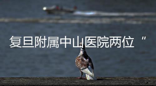復旦附屬中山醫院兩位“中國好醫生”赴京參加現場交流活動