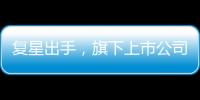 復星出手，旗下上市公司切入新能源材料，電池級氫氧化鋰年內漲超170%