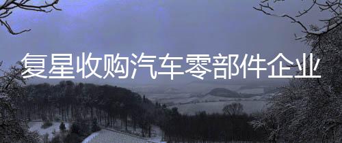 復星收購汽車零部件企業FFT 交易有待監管部門批準