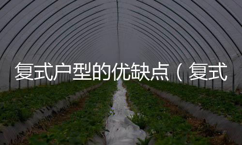復(fù)式戶(hù)型的優(yōu)缺點(diǎn)（復(fù)式戶(hù)型）