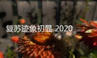 復蘇跡象初顯 2020年上半年國內車市銷量點評
