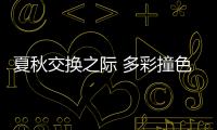 夏秋交換之際 多彩撞色裝飾風格（組圖）