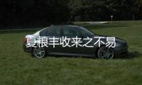 夏糧豐收來之不易