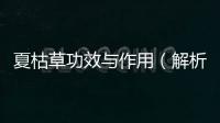 夏枯草功效與作用（解析夏枯草的藥用價值與應用方法）