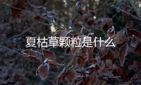 夏枯草顆粒是什么
