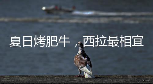夏日烤肥牛，西拉最相宜