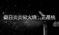 夏日炎炎似火燒，正是桃紅酒欲上時