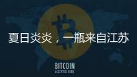 夏日炎炎，一瓶來自江蘇新美源的鹽汽水，請收好！