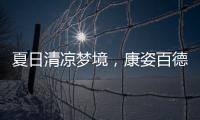 夏日清涼夢(mèng)境，康姿百德官網(wǎng)豪華柔壓磁性枕讓好夢(mèng)與涼爽同行