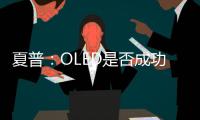 夏普：OLED是否成功是未知數 投資需慎重