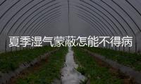 夏季濕氣蒙蔽怎能不得病？