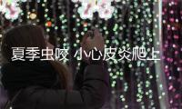 夏季蟲咬 小心皮炎爬上身