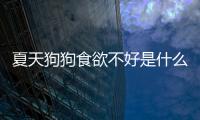 夏天狗狗食欲不好是什么原因(夏天狗狗為什么睡地板不睡窩)