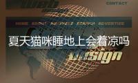 夏天貓咪睡地上會著涼嗎？夏天貓咪睡地上會熱嗎