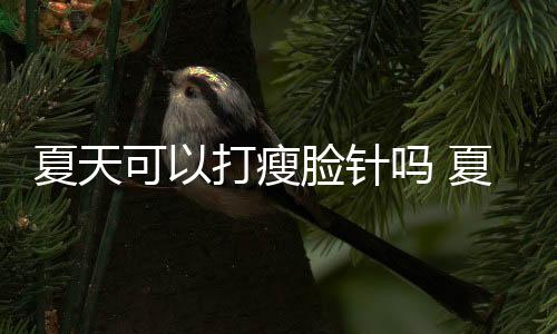 夏天可以打瘦臉針嗎 夏天打瘦臉針有沒有影響