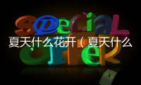 夏天什么花開（夏天什么花開）