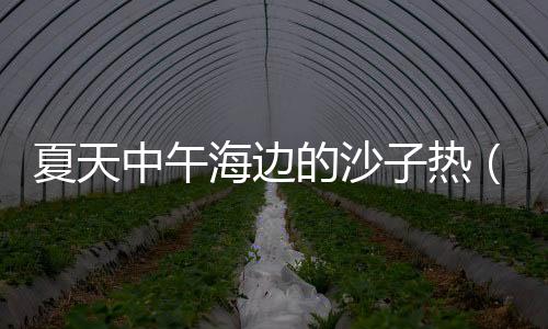 夏天中午海邊的沙子熱（在烈日當空的海邊玩耍你會發(fā)現(xiàn)沙子燙腳）