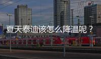 夏天泰迪該怎么降溫呢？夏天泰迪該怎么降溫最快