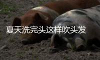 夏天洗完頭這樣吹頭發(fā) 發(fā)質(zhì)更好更順滑