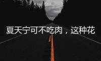 夏天寧可不吃肉，這種花的葉子千萬別錯過，清涼解暑，建議收藏