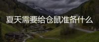 夏天需要給倉鼠準備什么？夏天倉鼠需要保暖嗎
