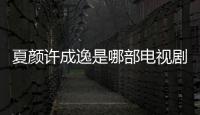 夏顏許成逸是哪部電視劇的