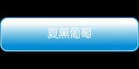 夏黑葡萄