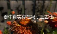 夔牛真實存在嗎，上古十大兇獸夔牛介紹，上古十大兇獸夔牛簡介
