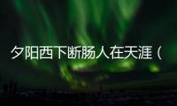 夕陽西下斷腸人在天涯（關于夕陽西下斷腸人在天涯的基本情況說明介紹）
