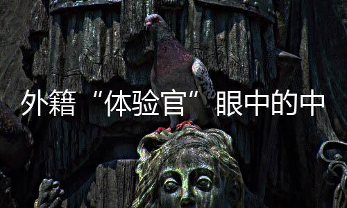 外籍“體驗官”眼中的中國基建故事