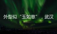 外型似“玉如意”，武漢地鐵8號線徐家棚站區間配套綜合開發項目通過驗收