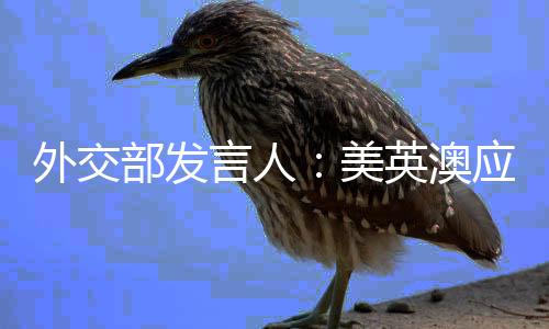 外交部發言人：美英澳應停止將地緣政治私利凌駕于核不擴散義務之上