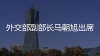 外交部副部長馬朝旭出席金磚國家外長線上特別會議
