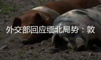 外交部回應緬北局勢：敦促緬有關方不得危害中國邊境、邊民